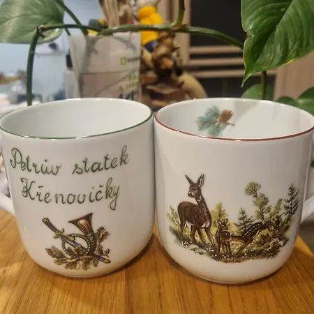 Luxusní stan 01 Jurta šedá U Stodoly