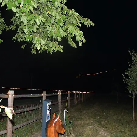 01 Jurta šedá U Stodoly Luxusní stan Chotetice