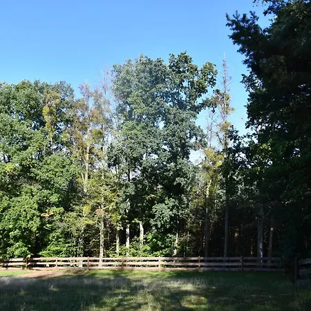 Luxury tent 01 Jurta Seda U Stodoly *