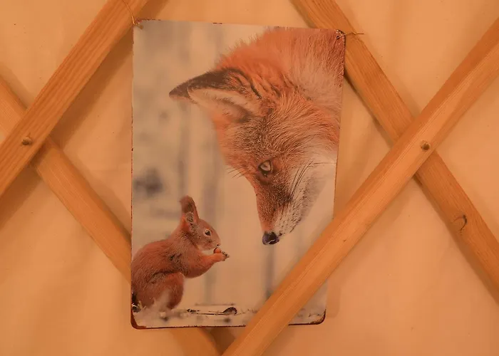 01 Jurta šedá U Stodoly Campo de lujo *