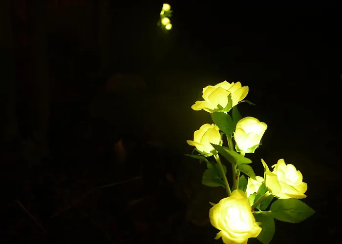 01 Jurta Seda U Stodoly