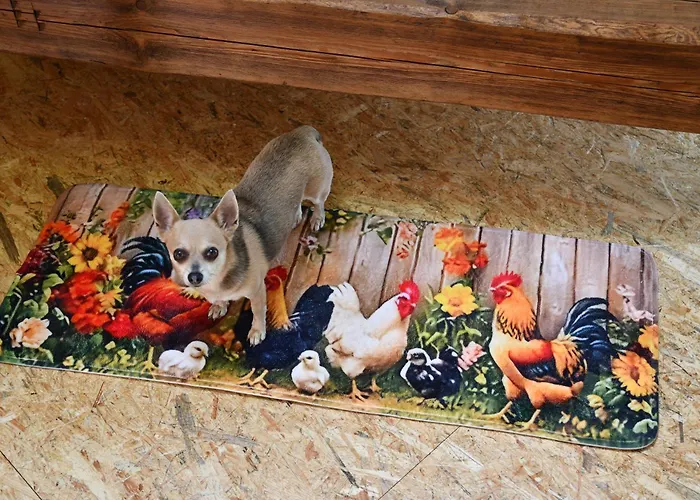 01 Jurta Seda U Stodoly Chotetice