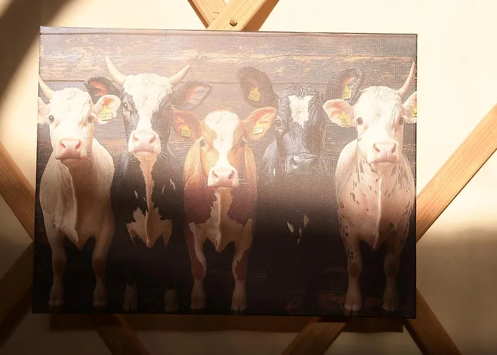 Campo de lujo 01 Jurta šedá U Stodoly