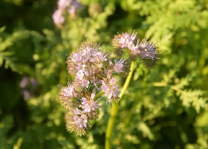 Luxury tent 01 Jurta Seda U Stodoly *