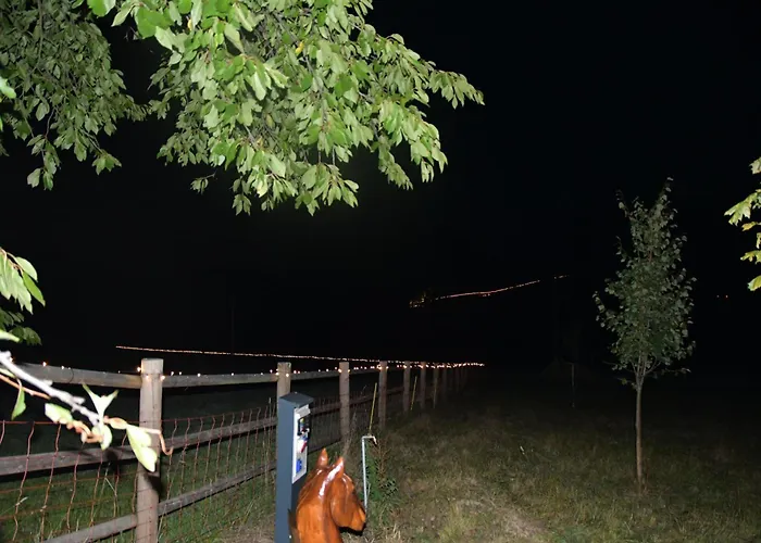 01 Jurta šedá U Stodoly Campo de lujo Chotetice