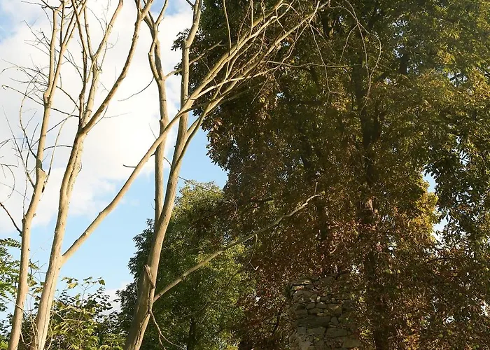 01 Jurta Seda U Stodoly * Chotetice