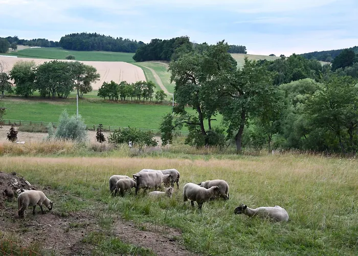 01 Jurta Seda U Stodoly Chotetice