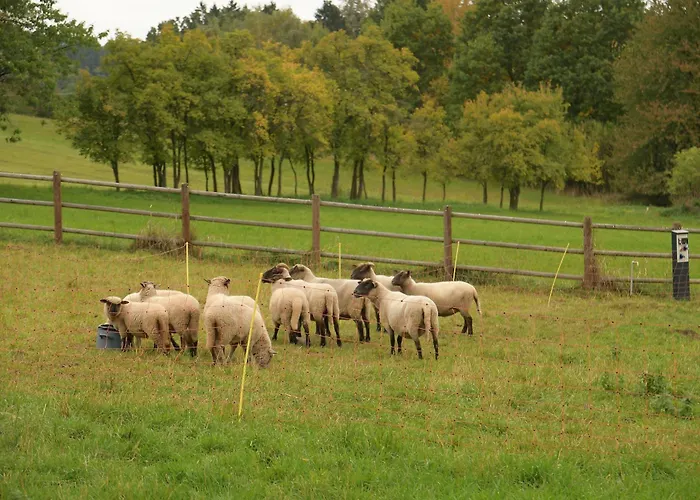01 Jurta šedá U Stodoly *